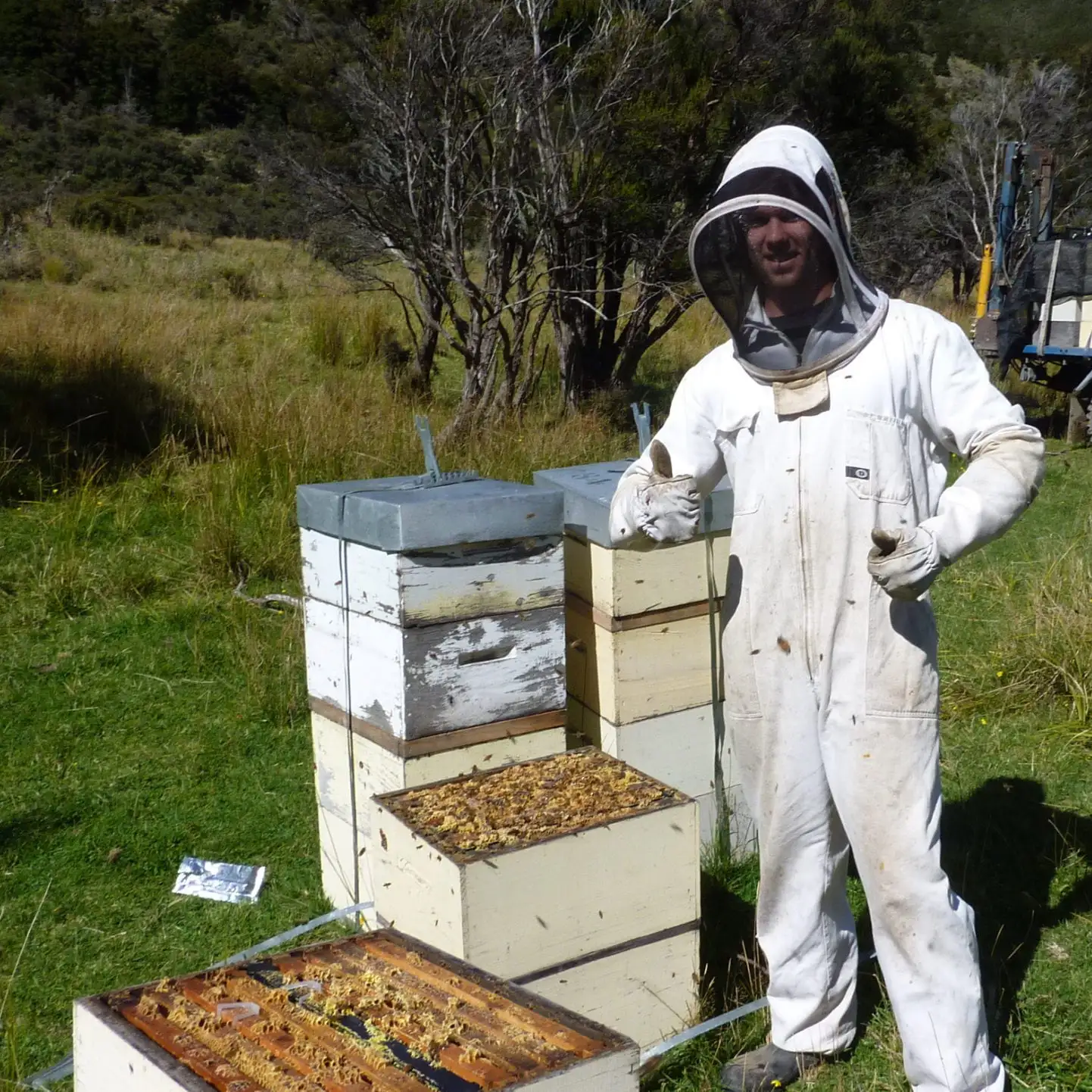 Beekeeper Manuka Honey Island Hills Station